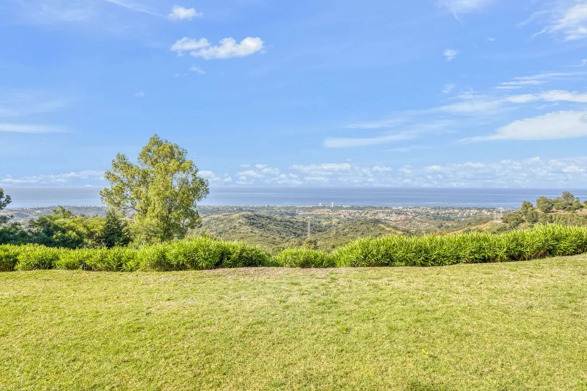 5b2ed818-3e07-4a37-9c85-c04c0ea8eccc