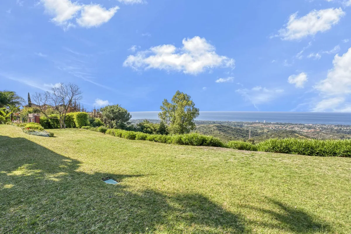 d10537be-9105-491d-8652-134f36a448f3