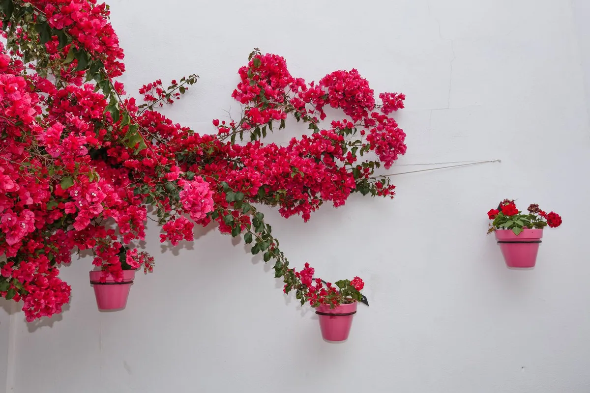 0e1320a7-69f2-4df2-96d9-98ef89a8b767