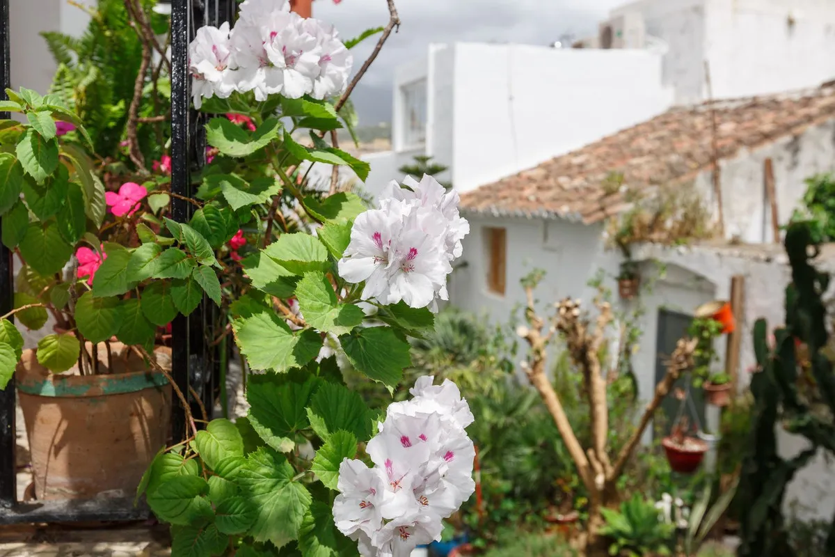 43fd859b-629c-4571-839d-aaedf94c7717