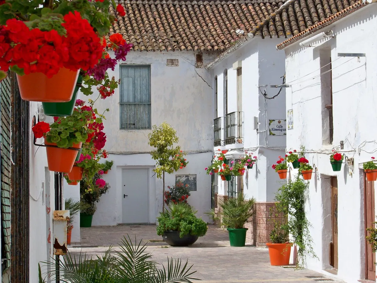 84e2b854-2c16-4a6d-87fa-eb00ec238bf5