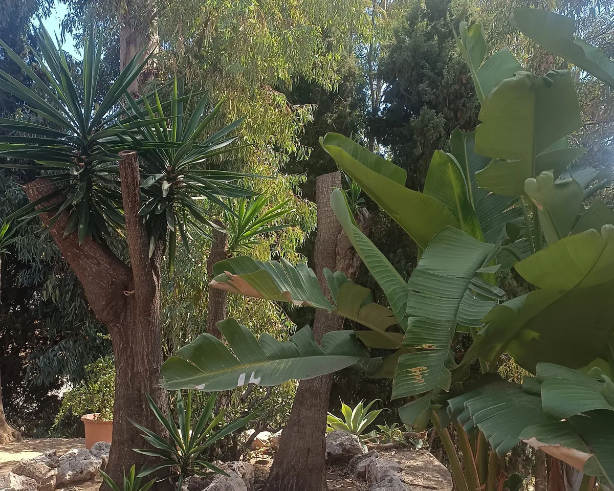 af9ec97f-5173-4cdc-abf1-6eefd55b14ca