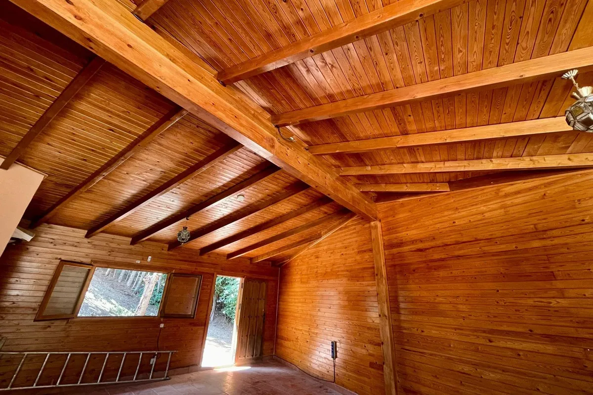 bb146370-721b-47d5-b013-d7f132ec21c9