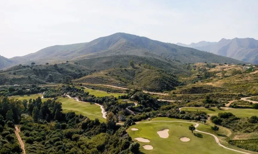 3e6392ce-6421-4717-9564-06b579780ec8