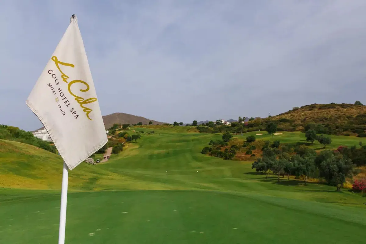 a2d5ca89-b23f-4b39-82a1-8178863282f3