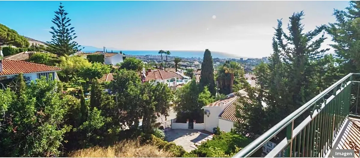 317dd5b4-ade6-4390-b475-3beb3521474e