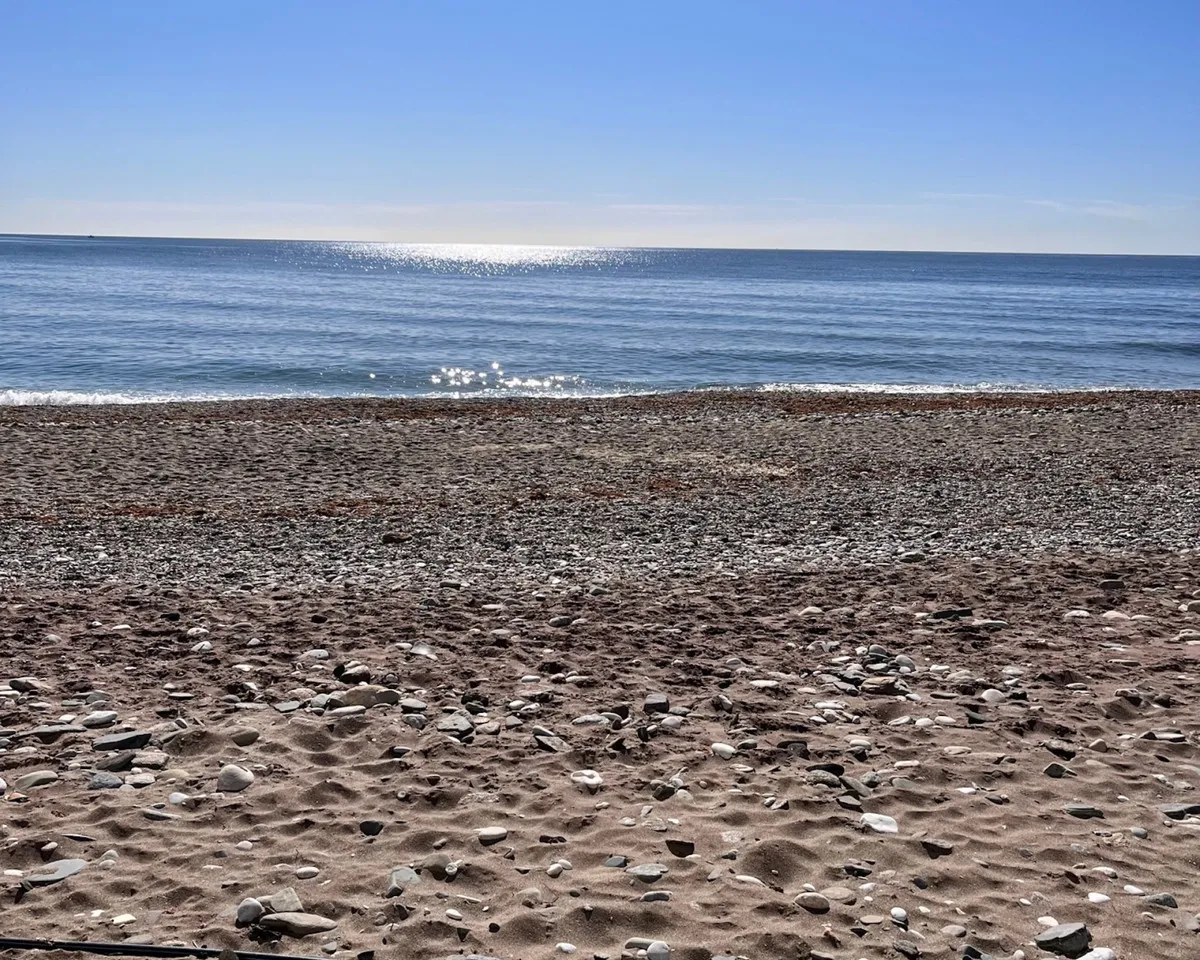 1577bd96-8793-4a63-baed-51666e329881