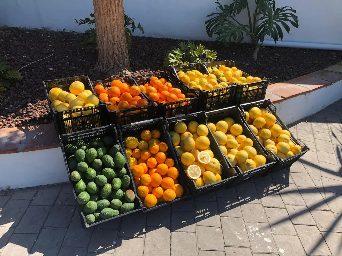 d7900d1f-be01-4d3d-b285-b656bb35d029