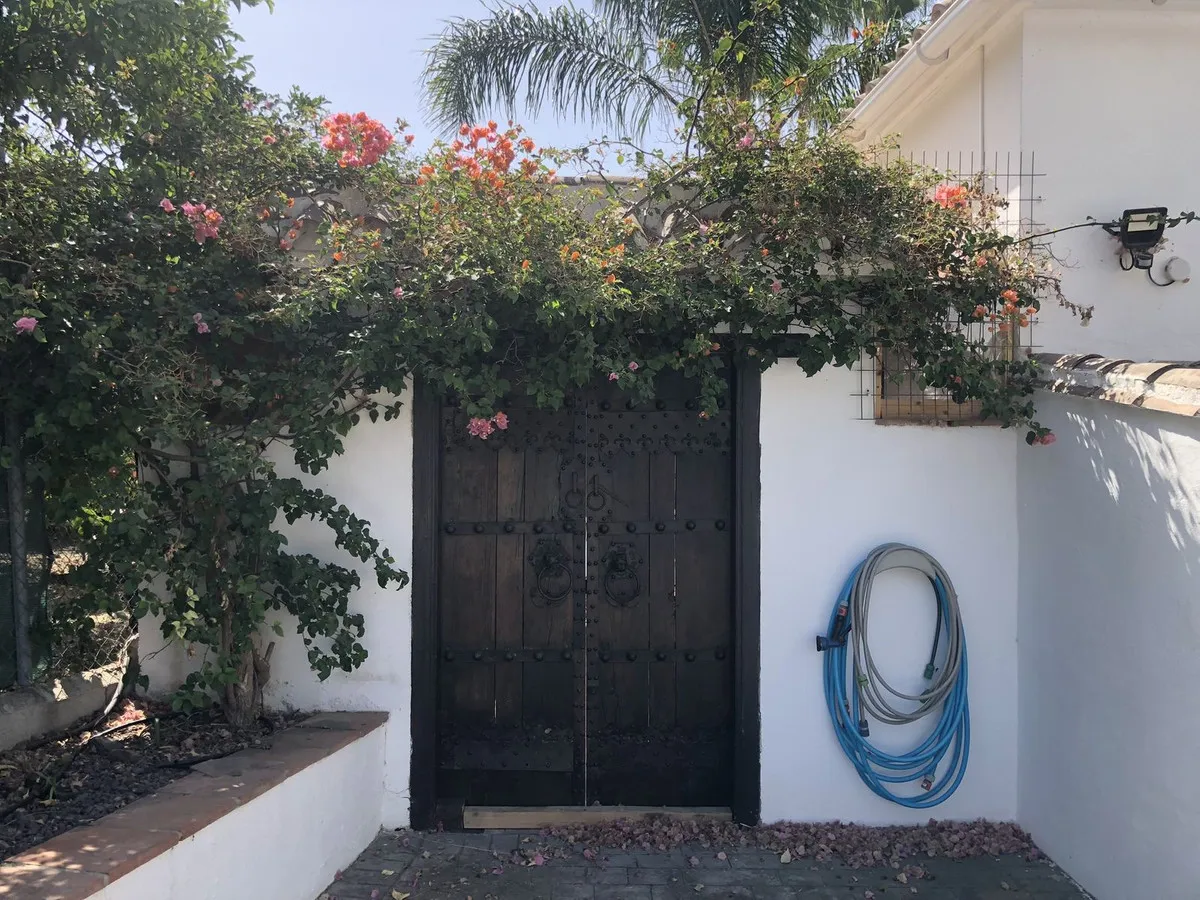 ddae4781-ffc2-4542-b8e5-3cd226bd3877