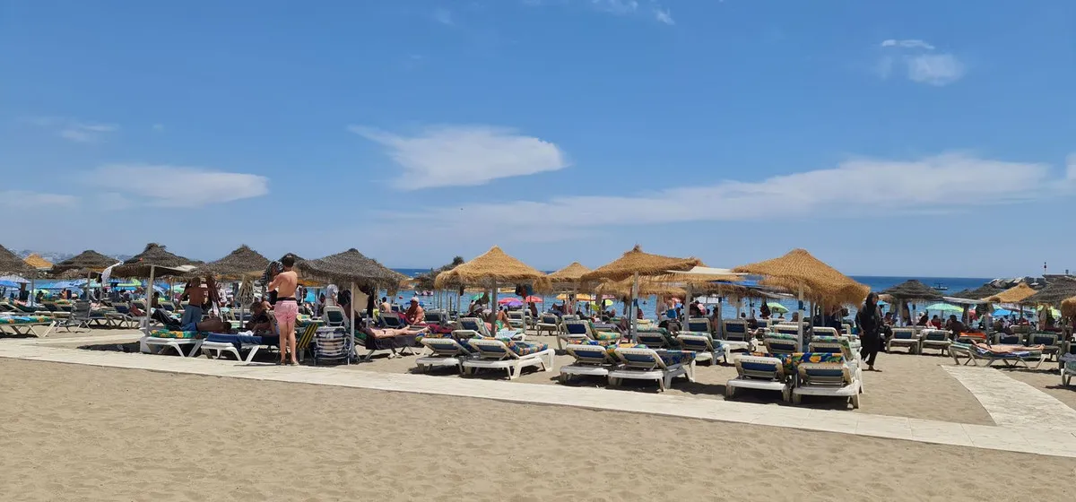 cc1539fd-a36c-4e46-b87c-c4fa50a86423