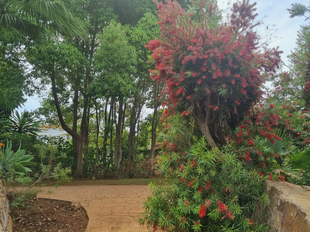 c8df443b-cba8-486a-b9c7-3ffba716332f