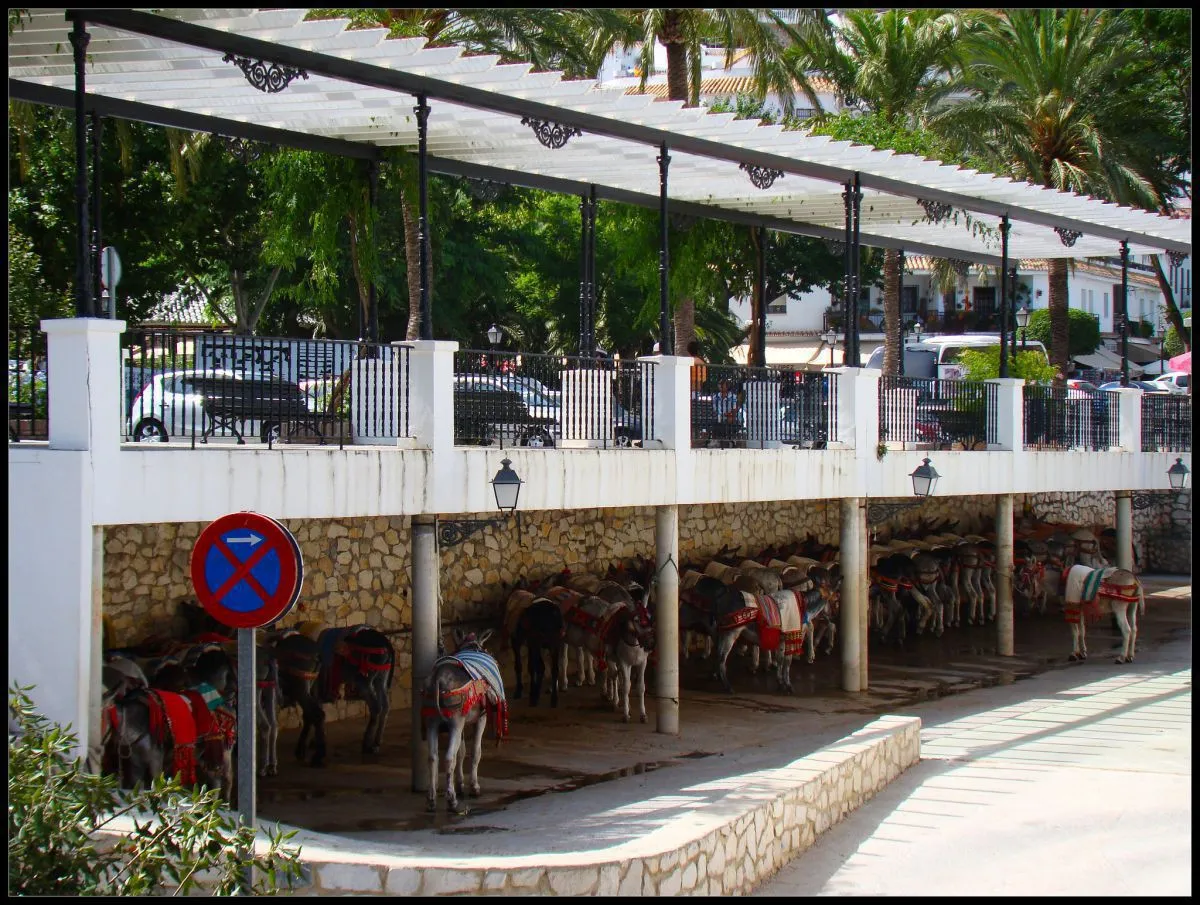 0f319ae6-ecfc-49b5-a45e-a070b2c53457