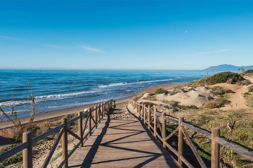 cd33ec6f-d46e-48ab-ab4b-63ba2ffb93f4