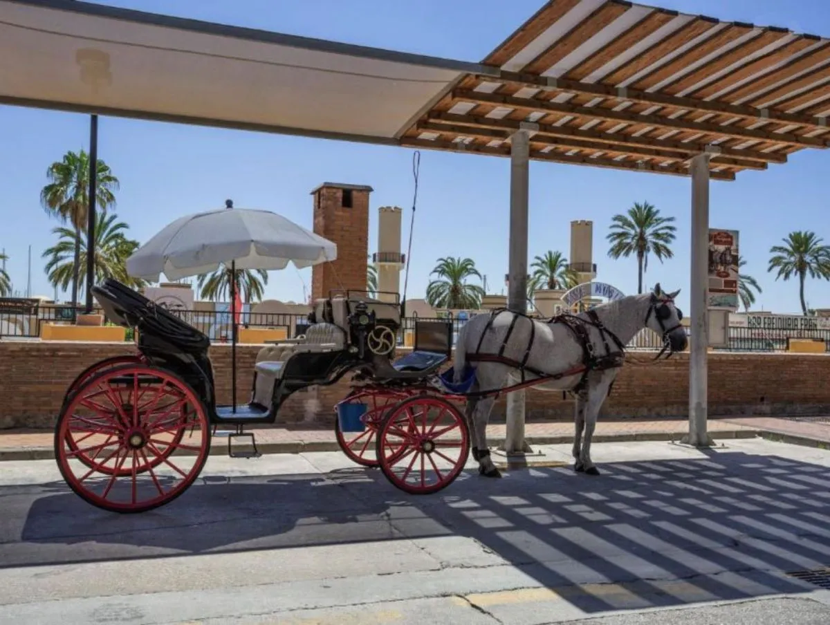 f0115972-f1ff-4481-9dd8-be755cf046ba