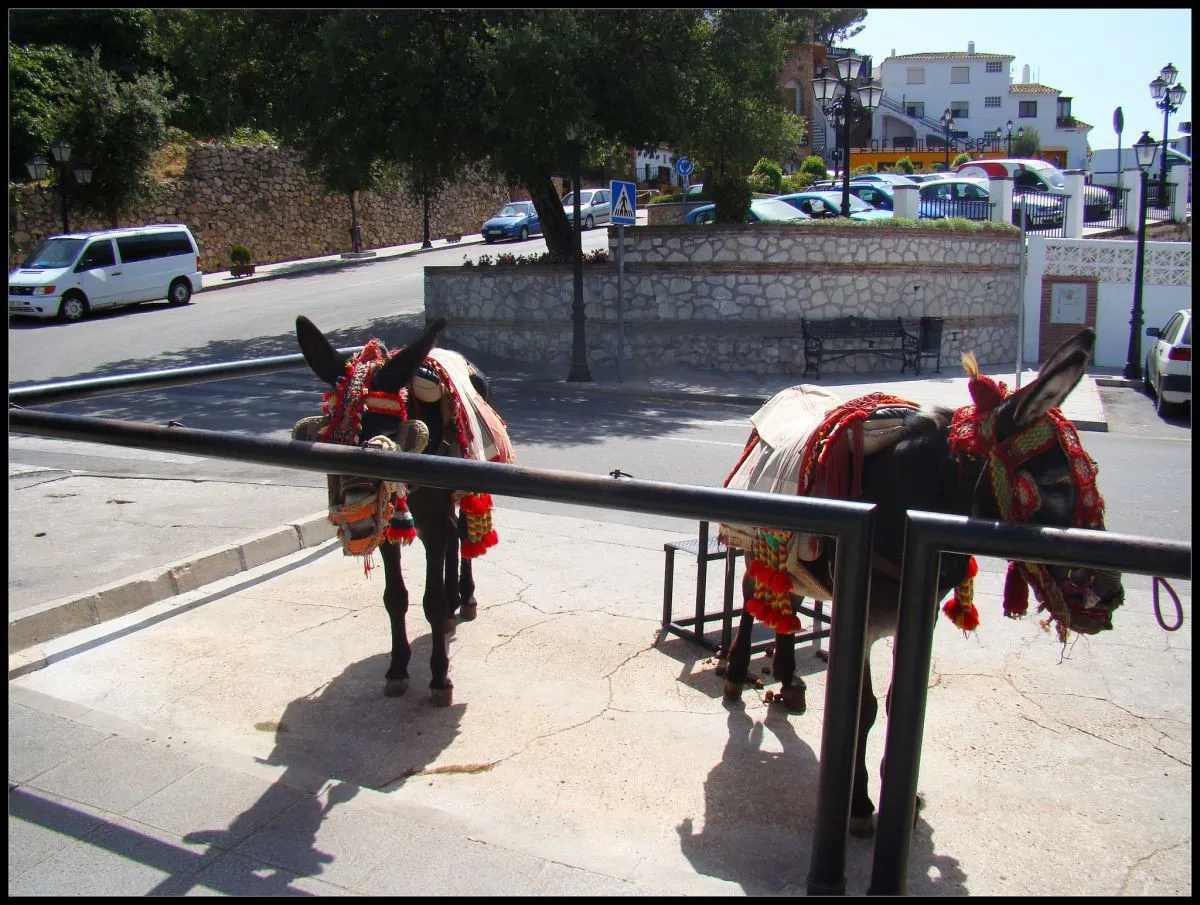 32611178-4bd7-4491-9d84-598a255ec9cc