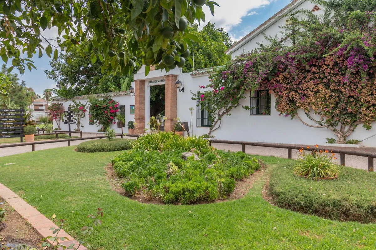 801a477a-0164-4586-925a-006d145656d8