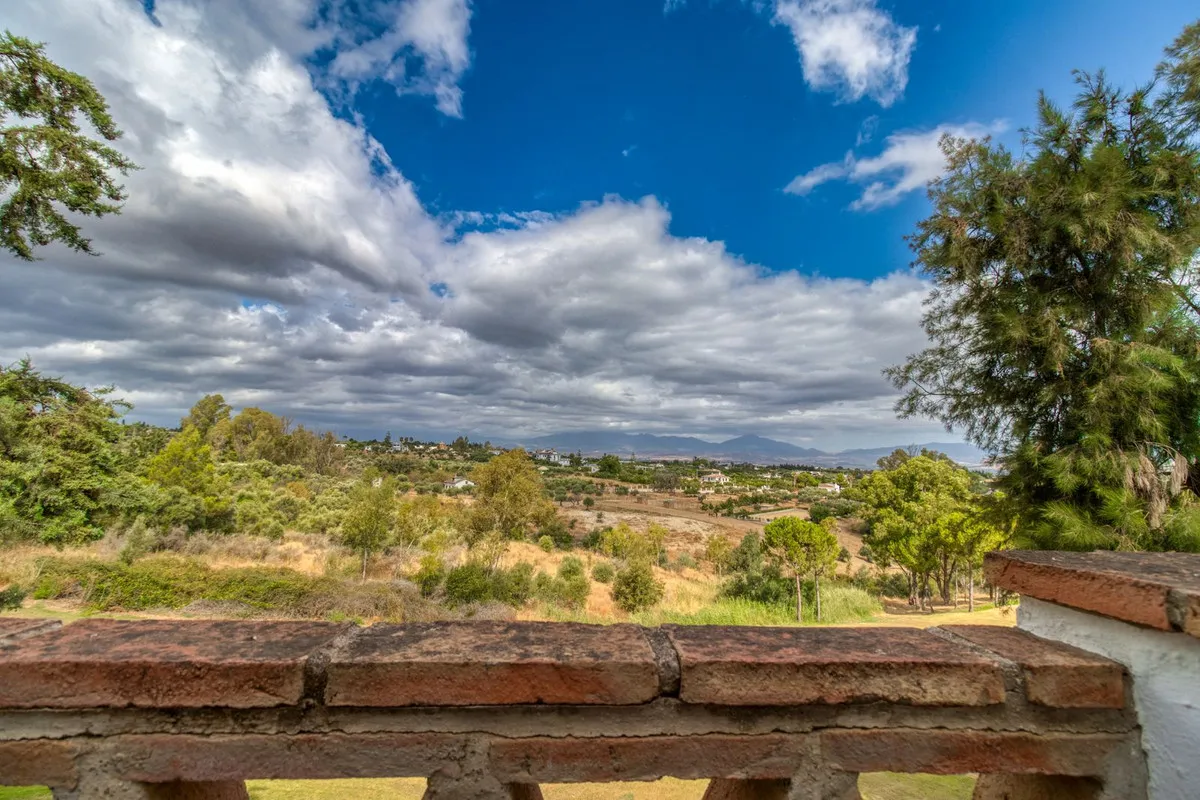 d21ba357-72e6-4539-98fc-3634d1887463