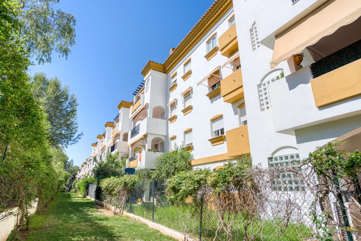 b377f65e-71f6-4bf2-b826-ce73cc75ca68