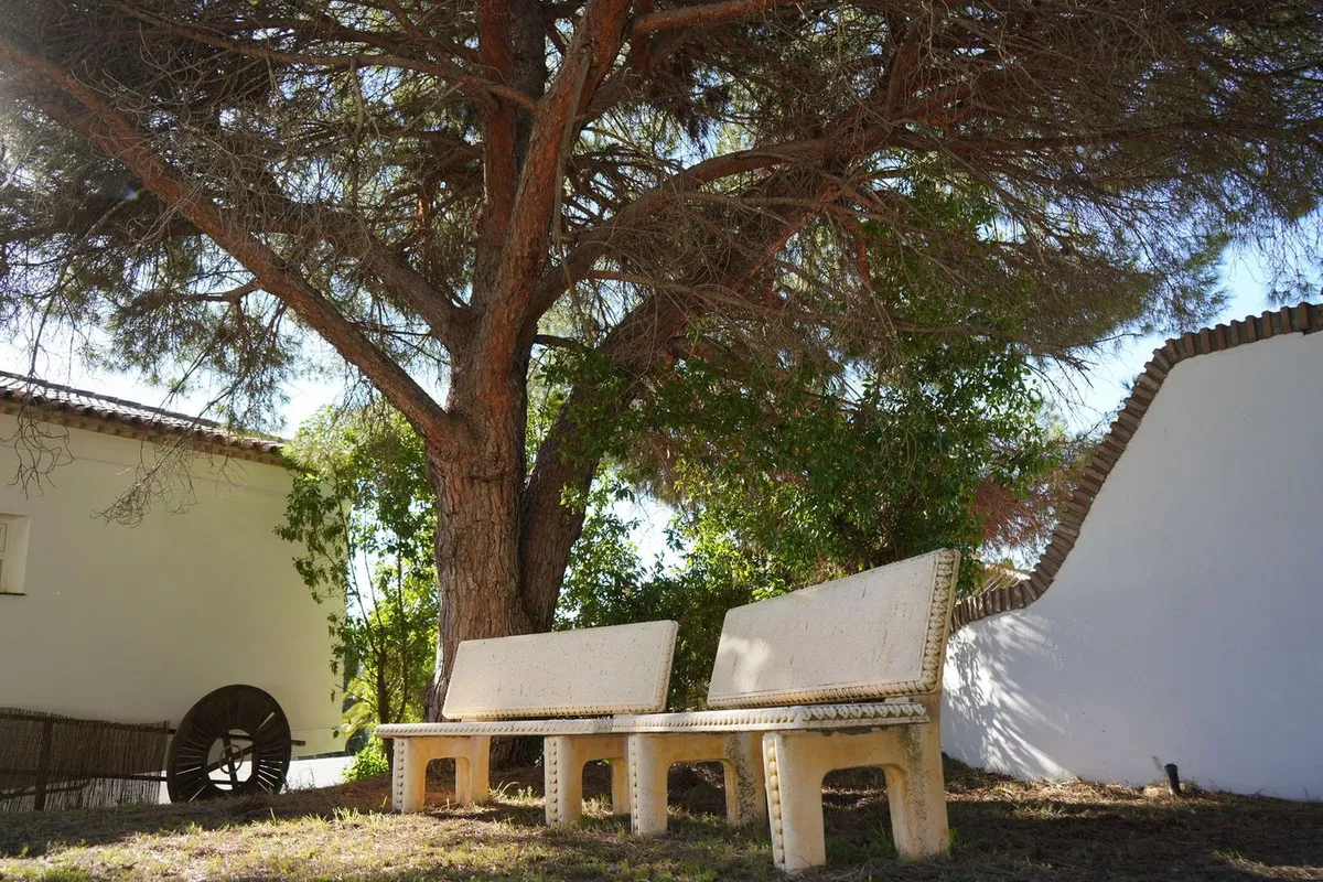 2d4c20b2-4daa-46eb-9273-d5c8472933e4