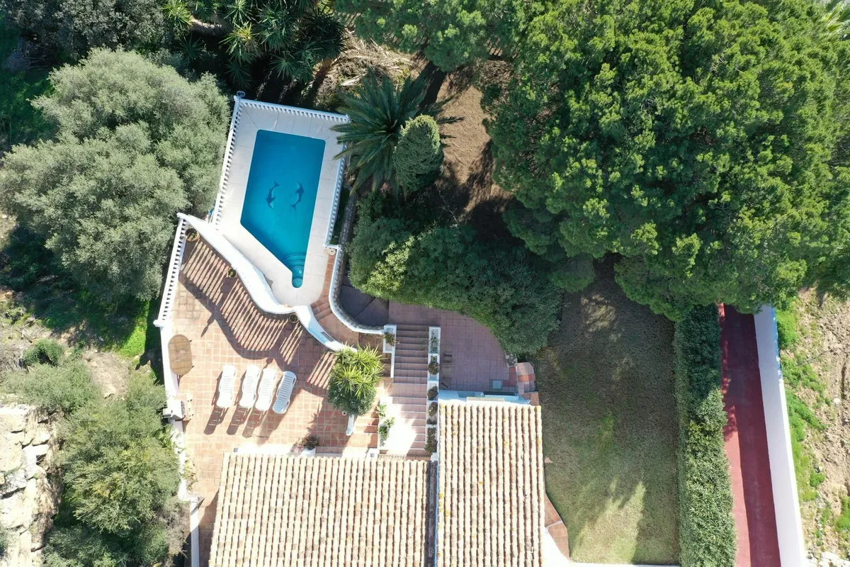 8e96deba-f230-4cf9-8bdc-f04e7f331868