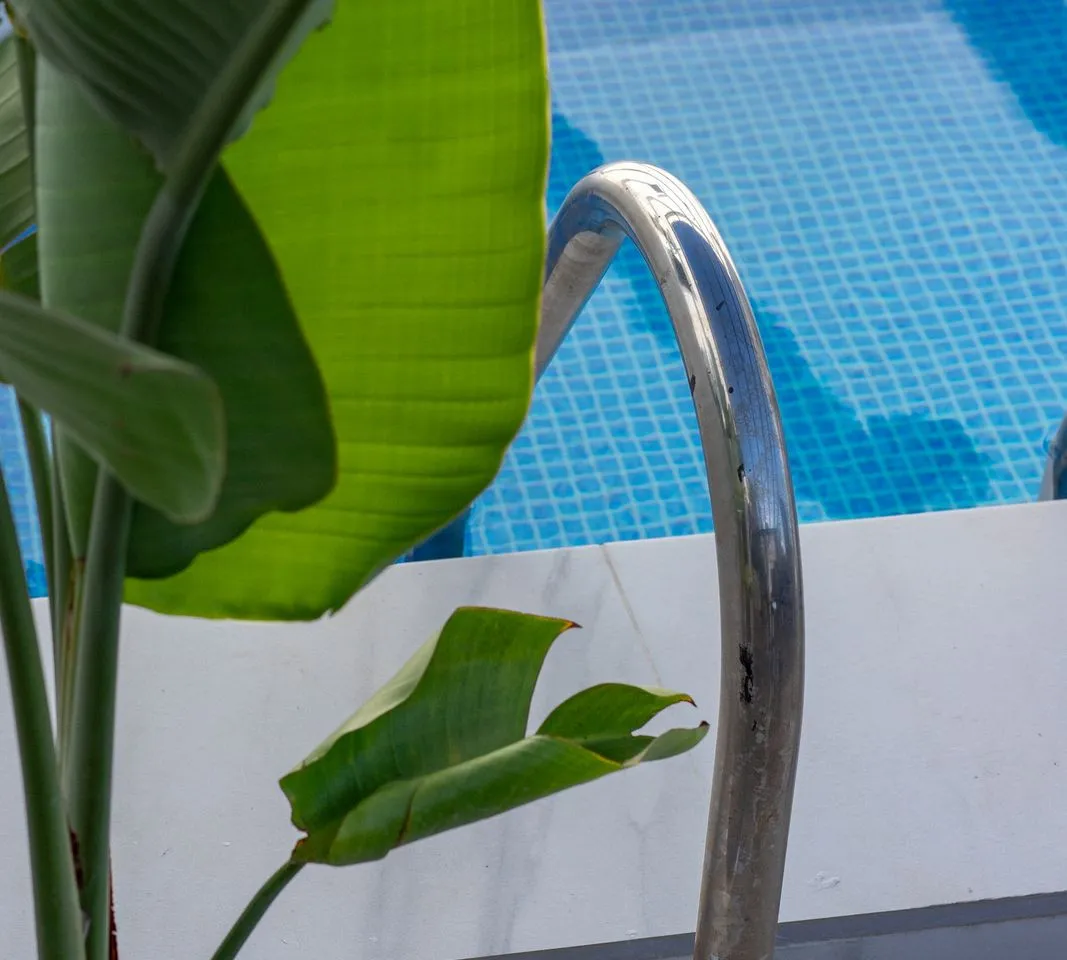 17936229-58dc-4d48-9d4e-cddff2b09c28