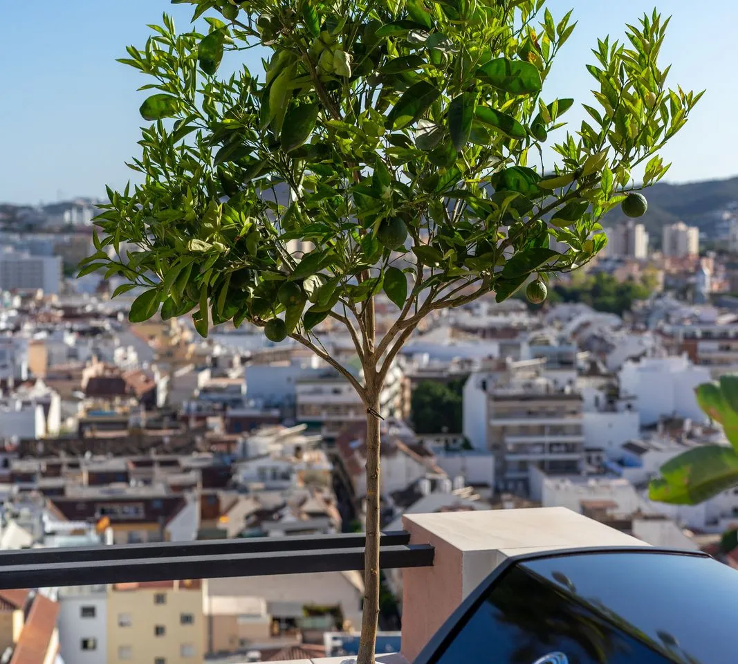 d46c9437-4011-490a-863e-4a2f34acfa84