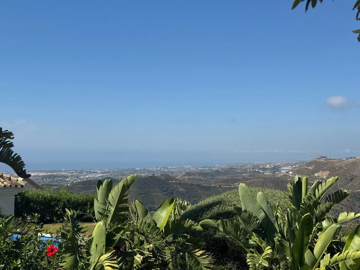 ff669fda-feed-4e02-8695-c8b0776e8f78