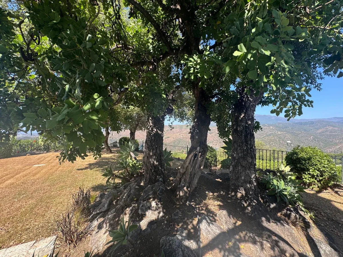 ffd0f7d4-390a-47c0-a853-38c98d441936