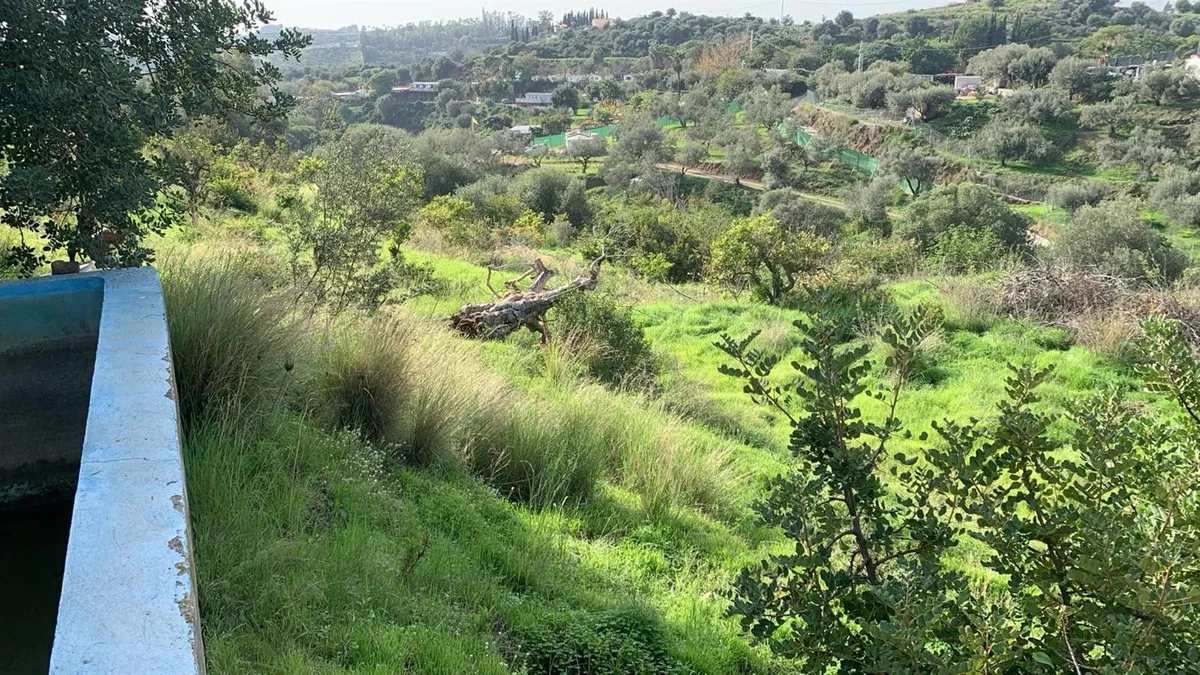 17ec0600-cbd7-4b03-8ec1-ff2a2dc8259c