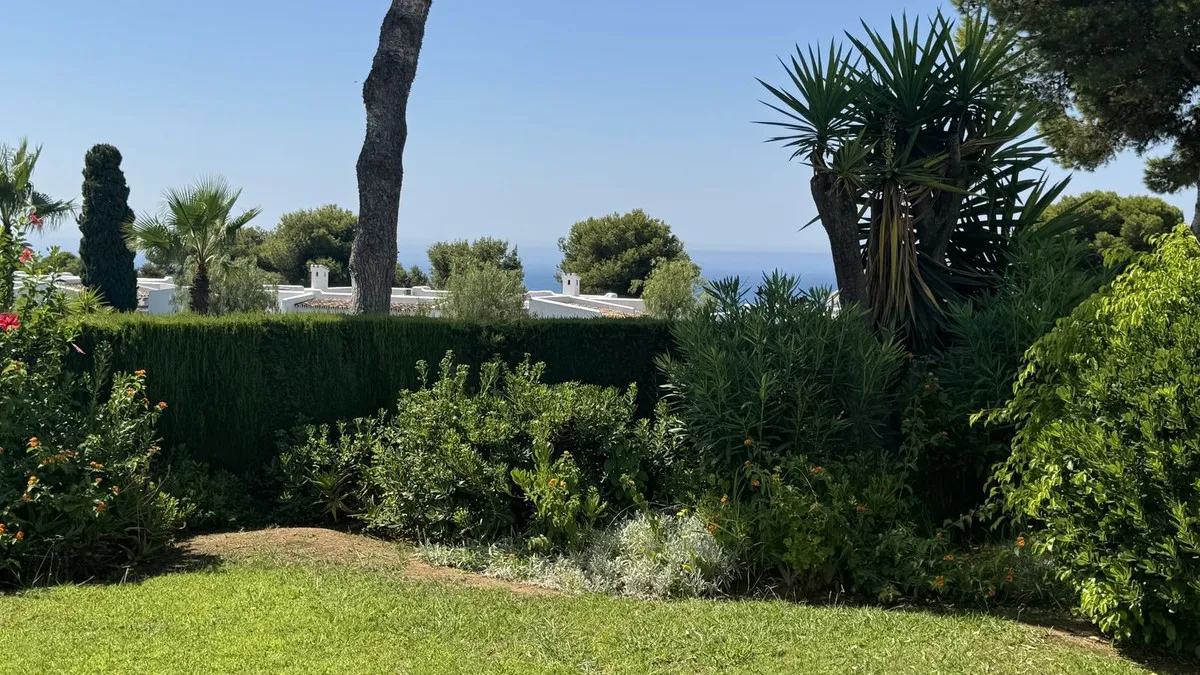 98ecd5d8-6a20-48b2-a20d-a192ef911538