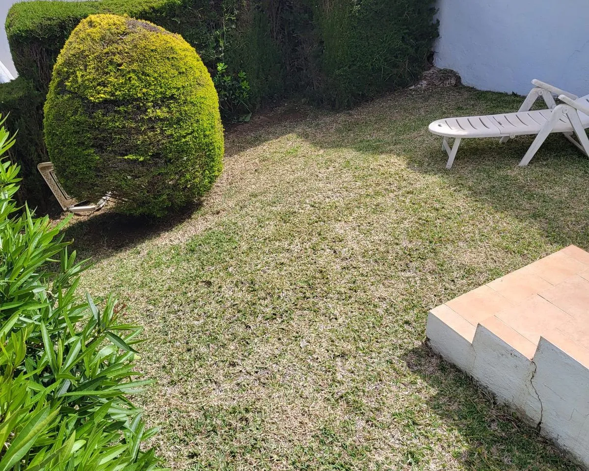 ae1b20ac-42eb-4e0e-978a-529bb941a761