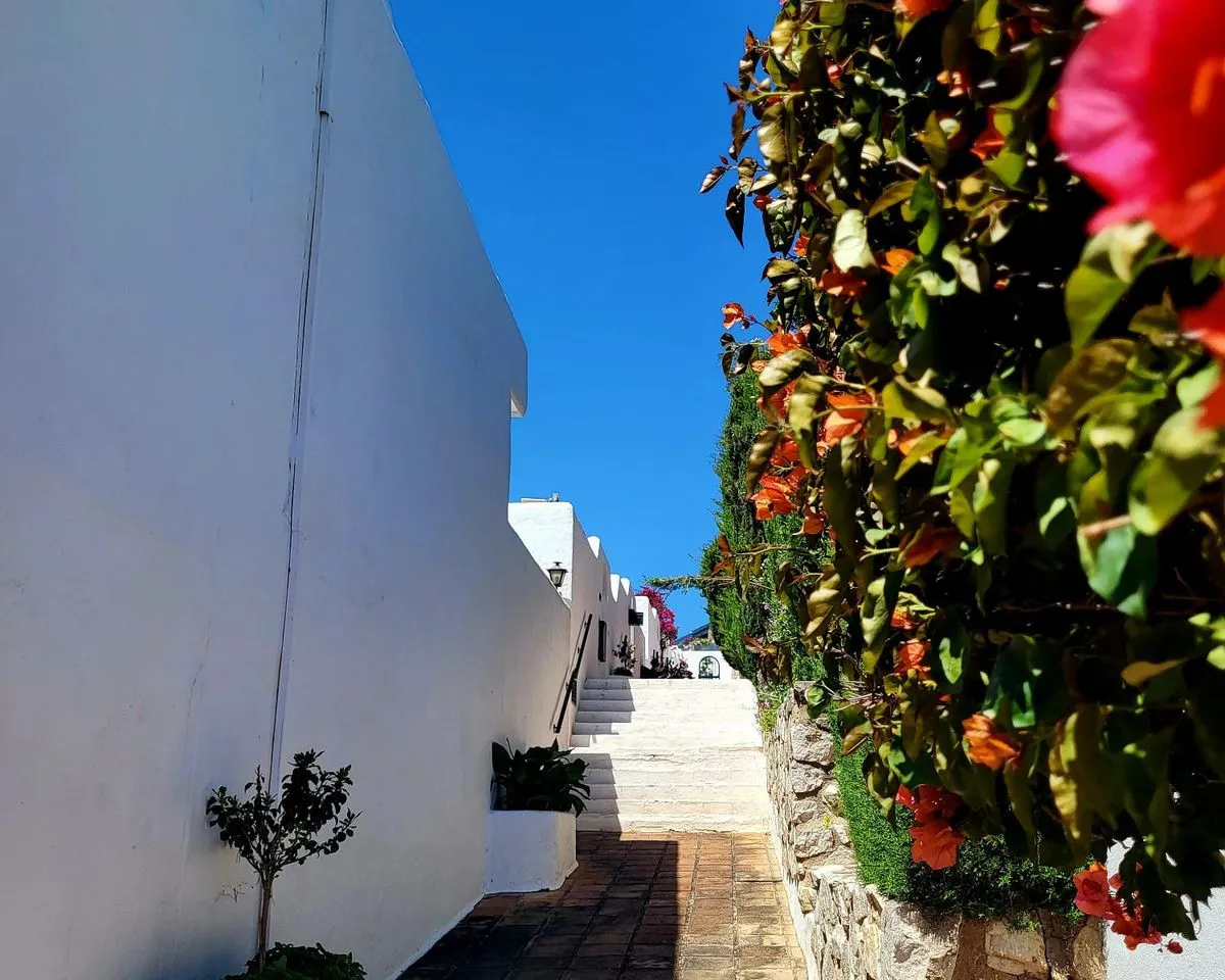 bd623680-c14c-4320-b9a2-650dc5aa104d