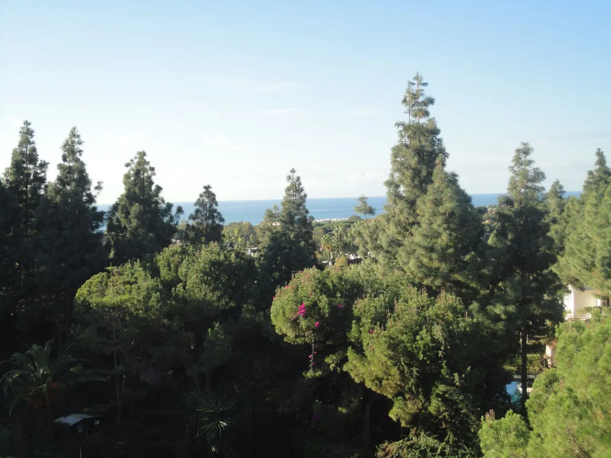 d0af37f2-1053-43a0-b754-6d122d143bbe