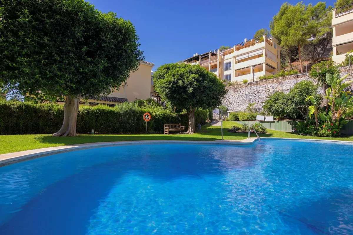 21d6a8c8-c5bb-40da-a797-bcc05d152ac7