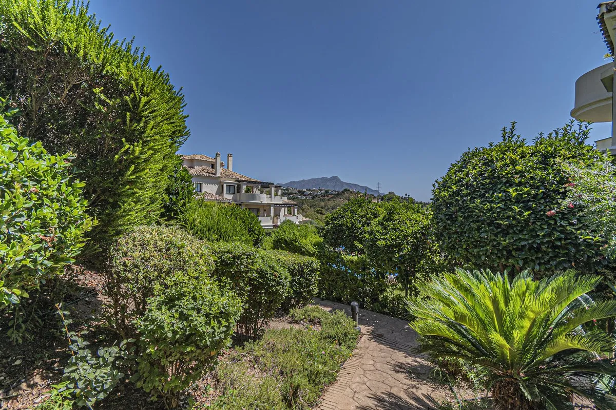 cf019f81-b089-44f7-b290-26574cba20f1