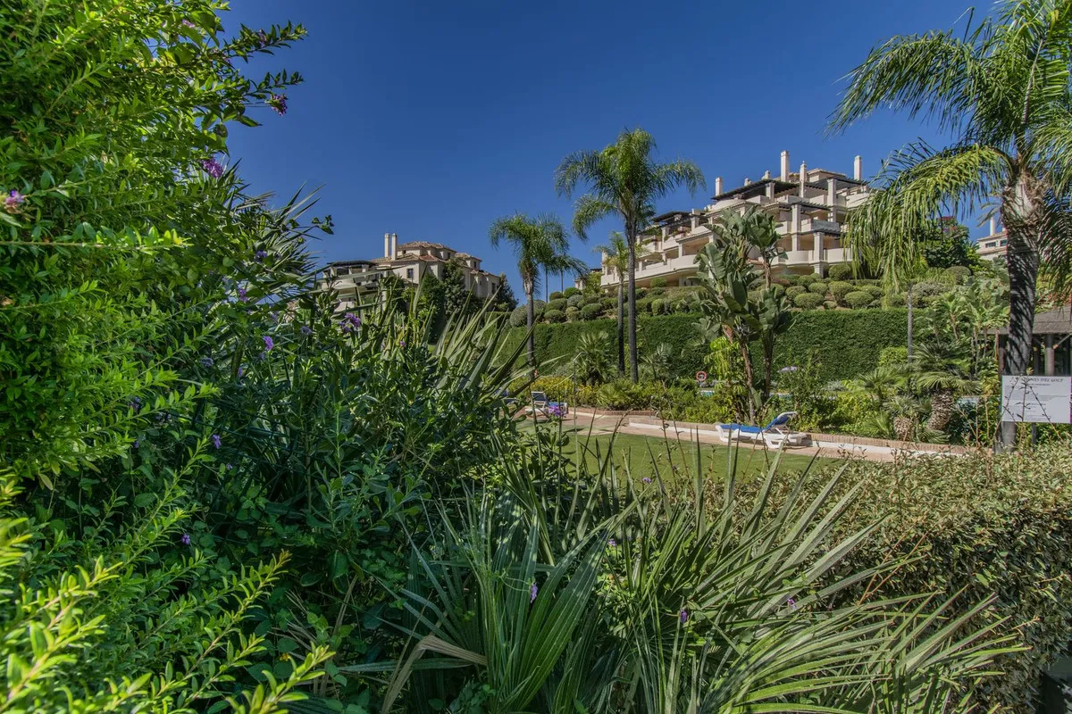 d31eb726-5625-4873-a4d0-915a03079979