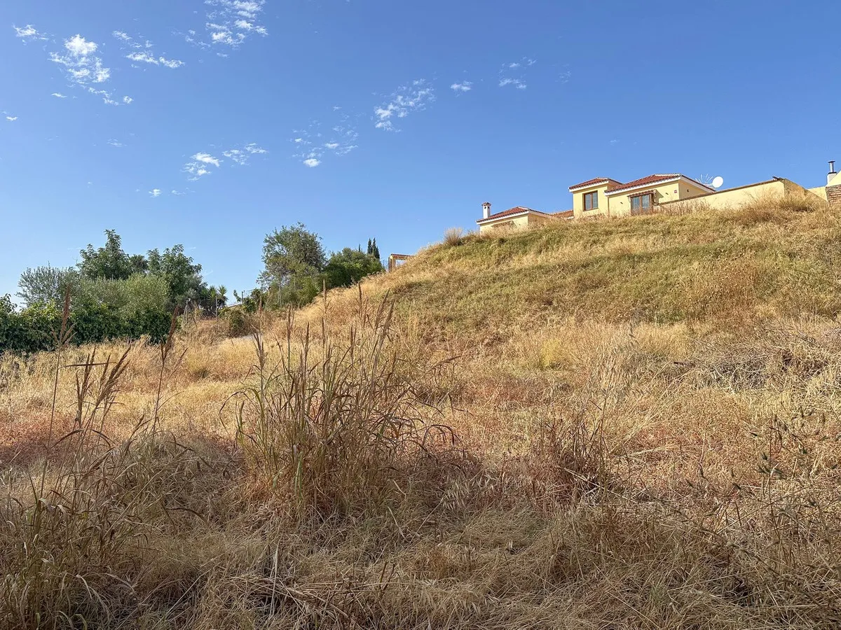 67a1513c-31f1-4940-a474-b3576bda5fb3