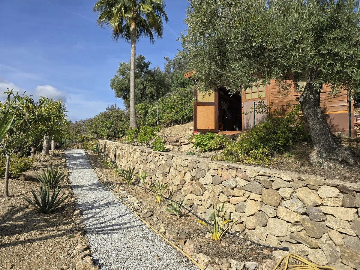 ba3273a2-cc33-4169-9e77-d2c9f812c616