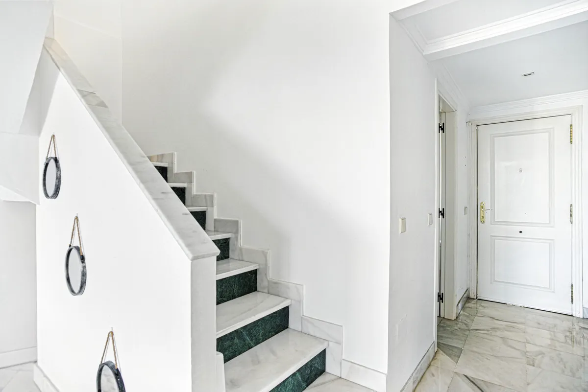 a5560f76-c9ad-4a50-9150-d411670ff2ee