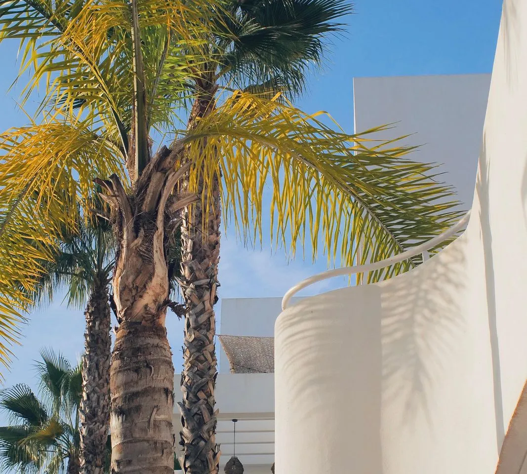 a308ec03-95e7-4bd4-bc11-20bacb705c66