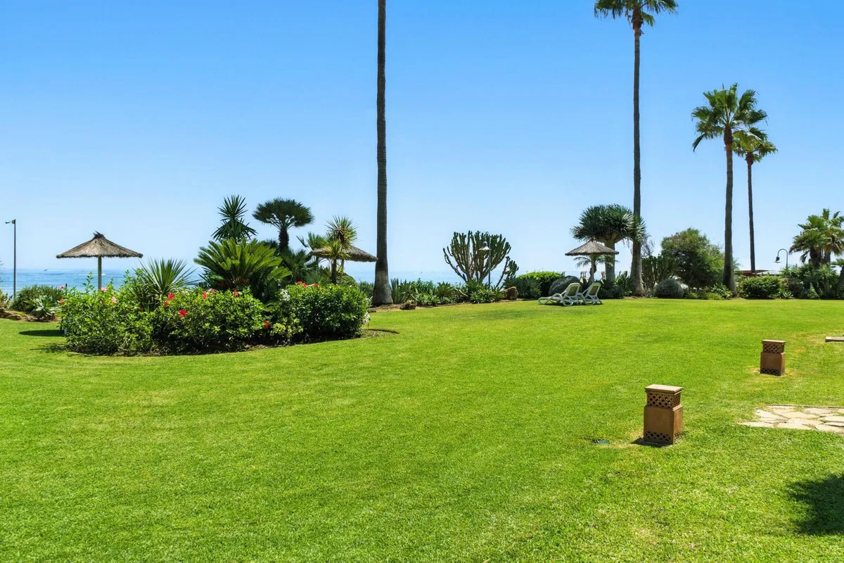 d58861c2-bc5f-4d5a-b9ef-5a739f233769