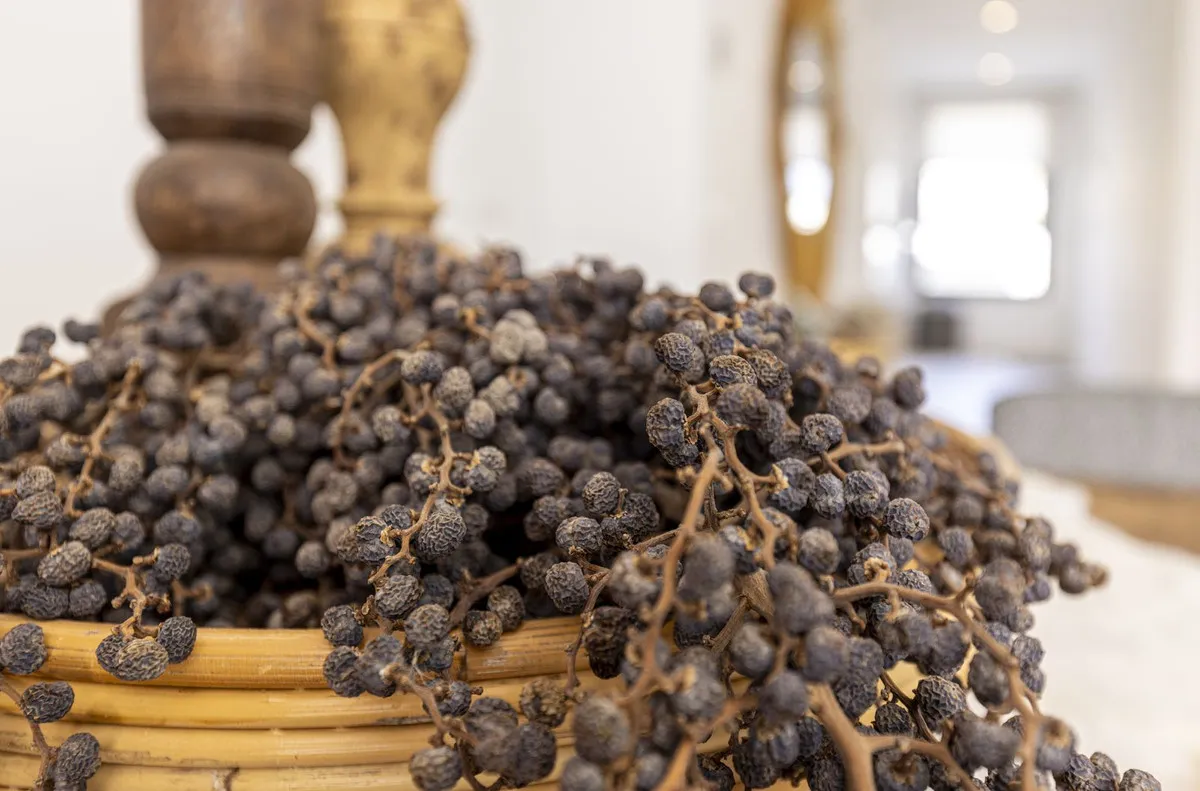 a7fca708-4923-4930-a6f7-2fa9cf991189