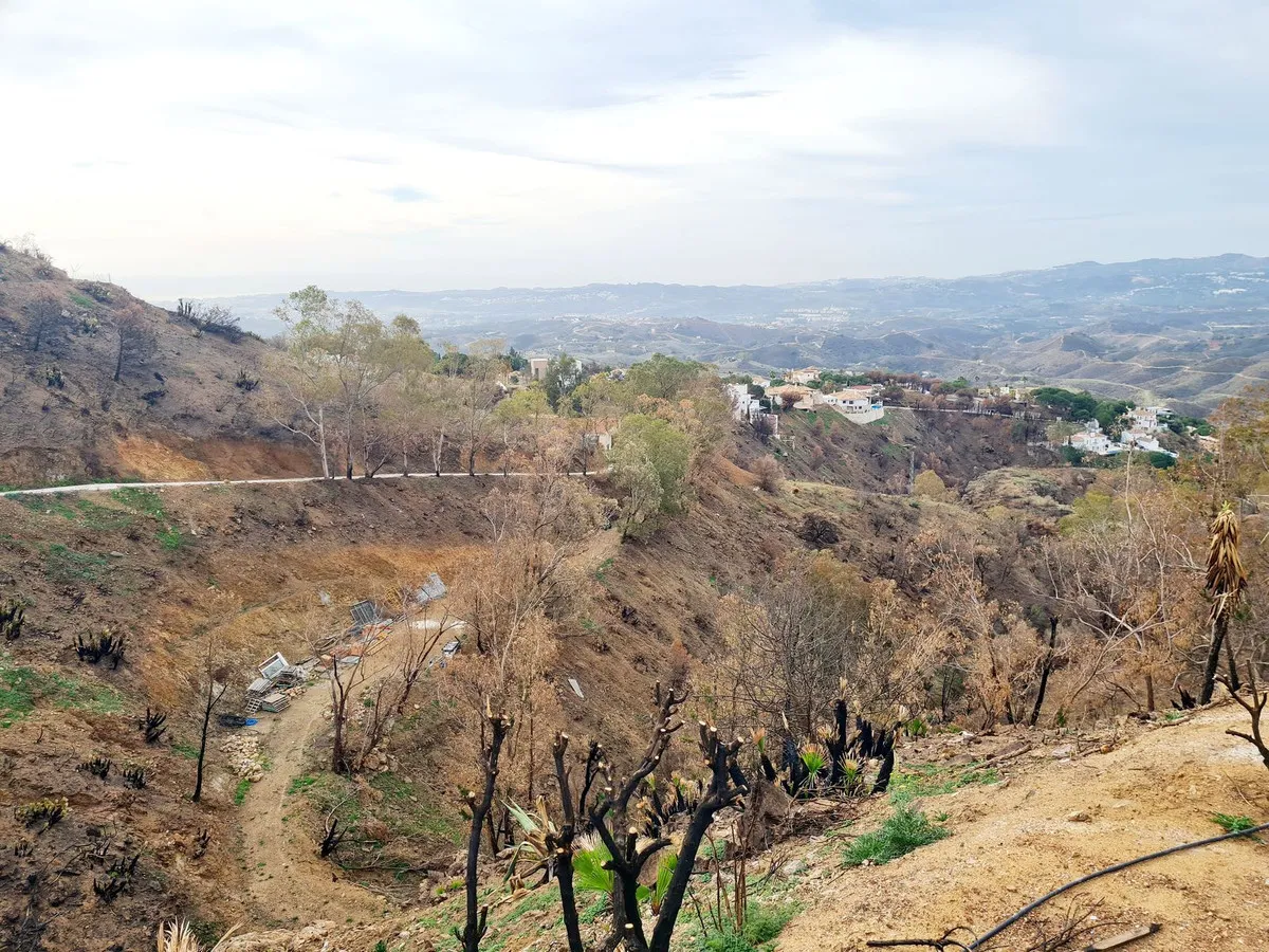 114468cc-9436-4c39-8c0d-31d5b36bde81