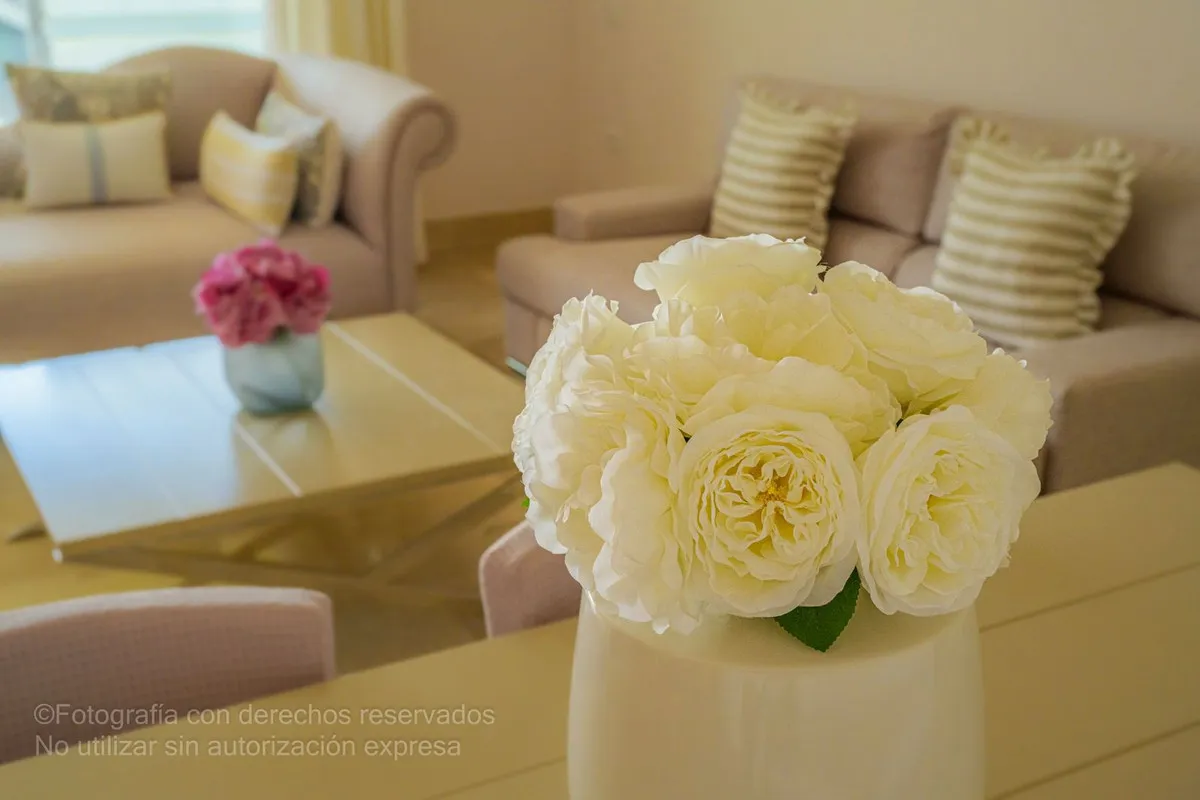 1884e89a-de72-4ac0-a6b0-c2cdcd133cfb