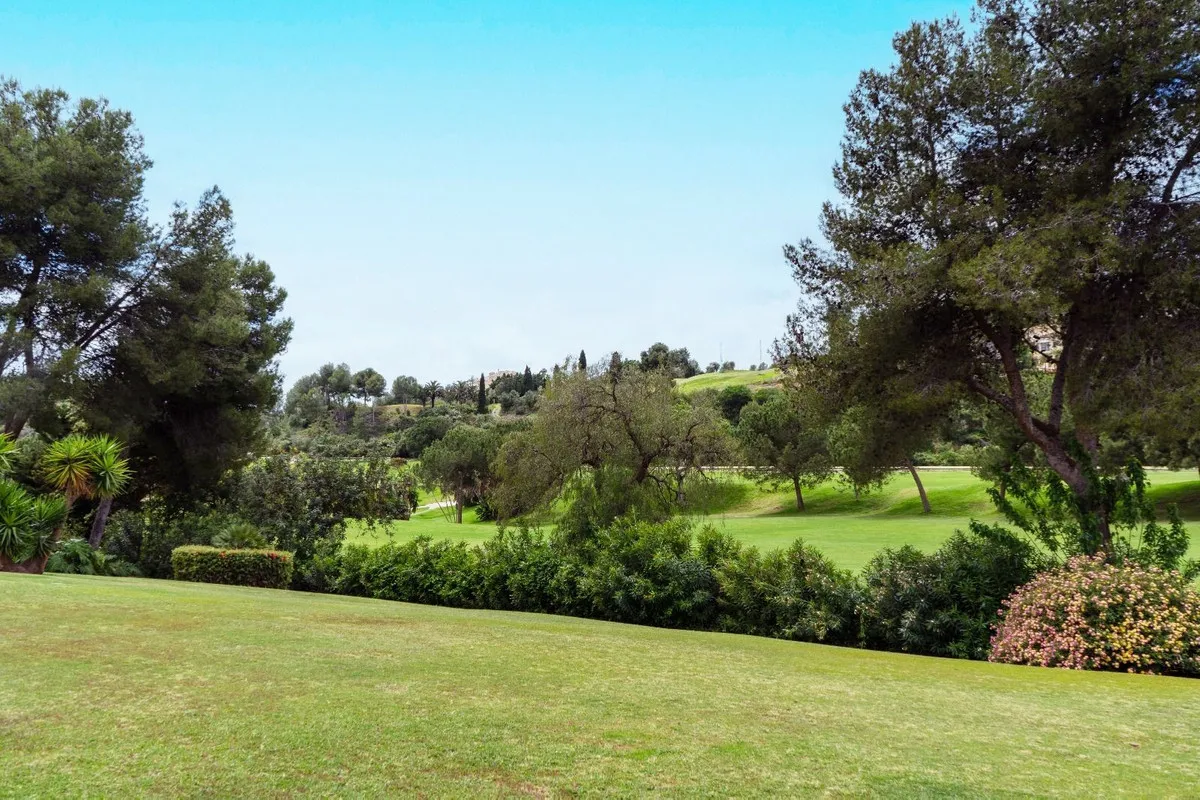 b4fee6d8-33c6-4b01-8d89-f4f9e225c9cb