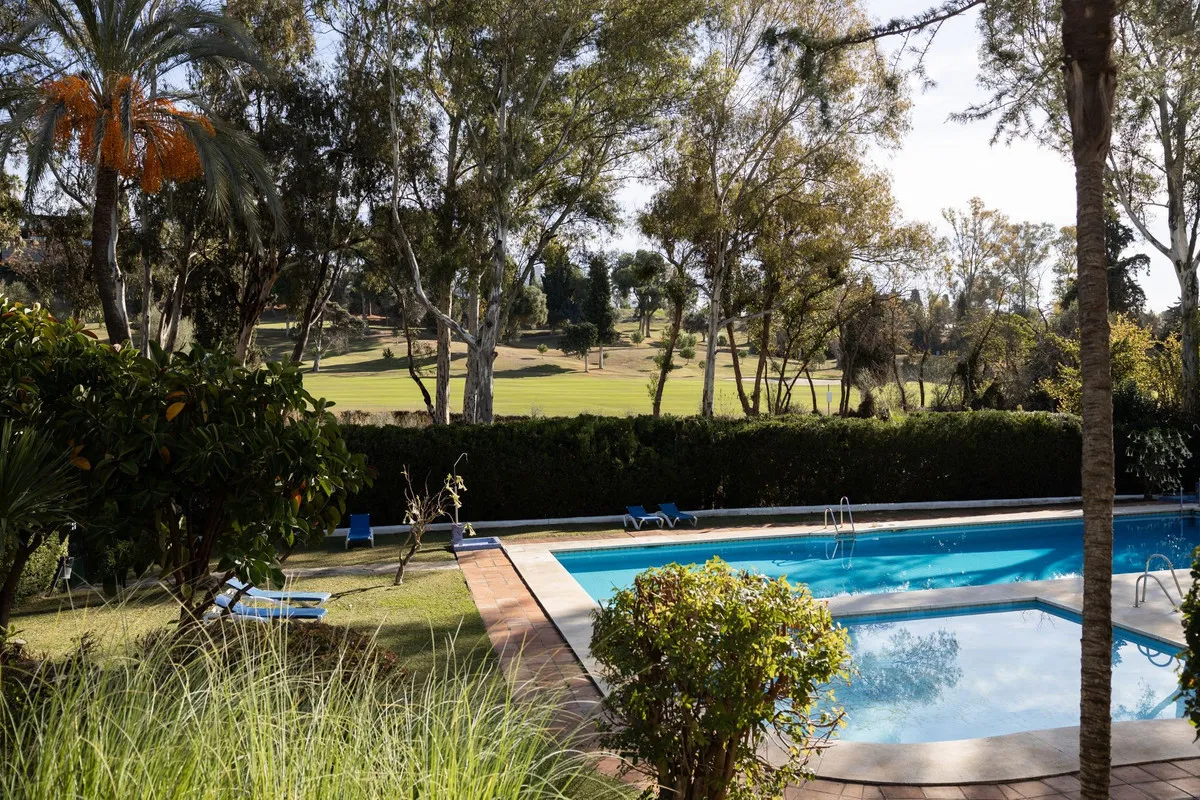 513d223b-4166-4dea-b947-ade1936da19f