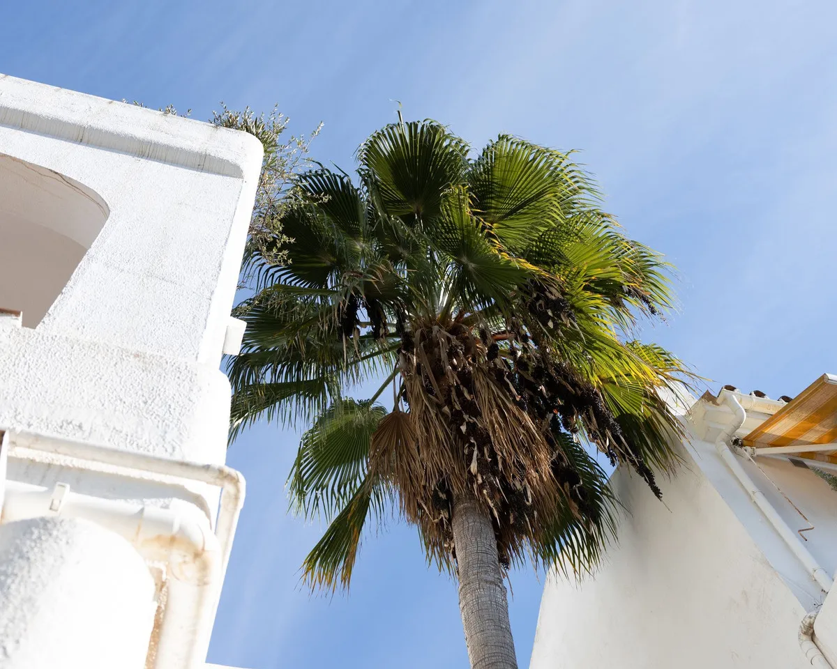 5975b07a-00d5-479f-ab21-6611d8826172