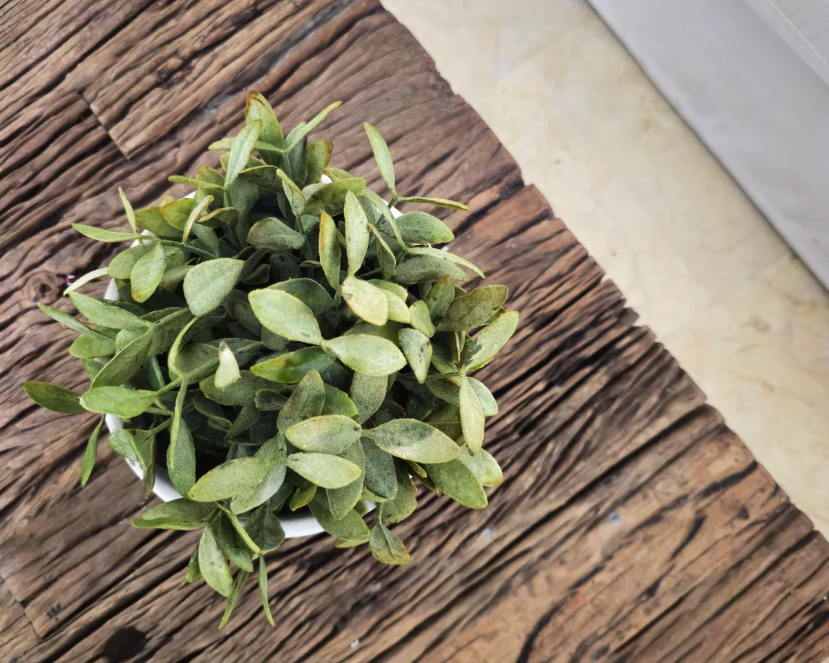 865b0c73-3a64-4790-9fc4-059bfbde3529