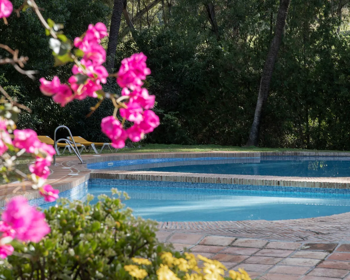 b21daf47-62e5-41d1-b70f-079ed8ddabbd