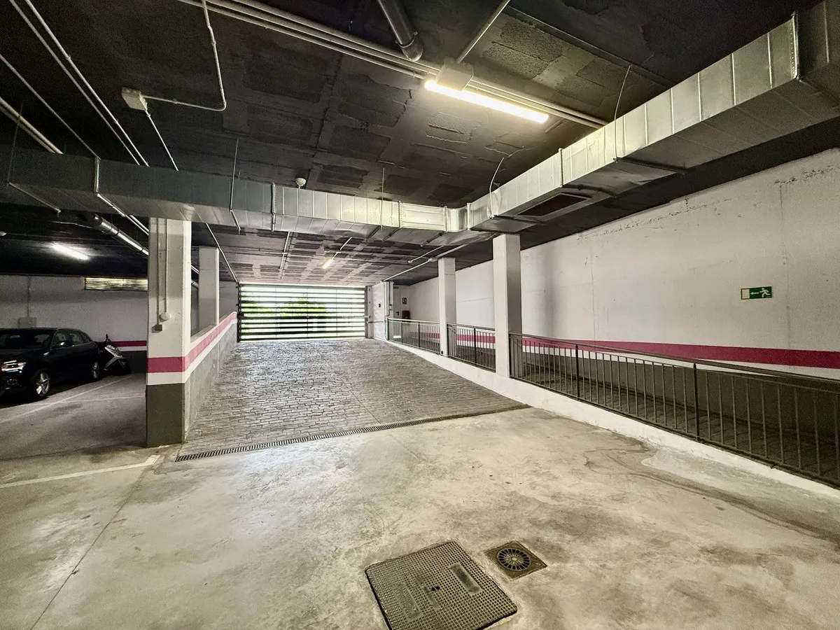 f8ddc87f-cec2-404d-86d3-6f3fe6e6bedc